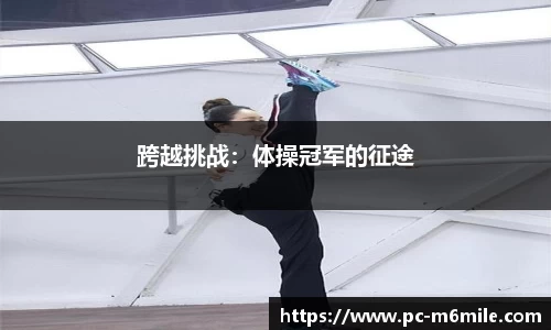 跨越挑战：体操冠军的征途